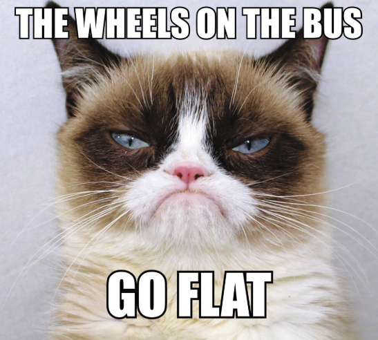 Mandatory Monday Memes RIP Grumpy Cat #14