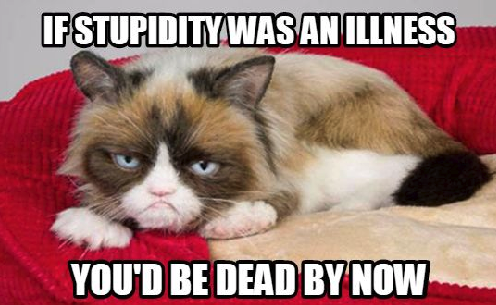 Mandatory Monday Memes RIP Grumpy Cat #15