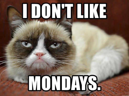 Mandatory Monday Memes RIP Grumpy Cat #16