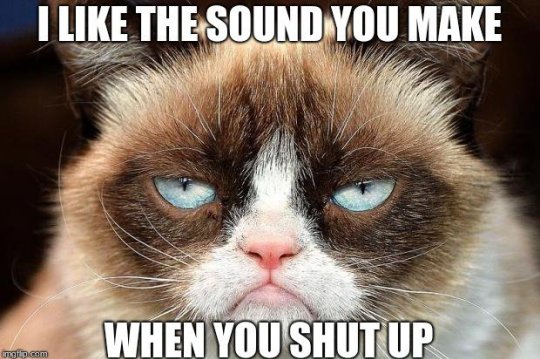Mandatory Monday Memes RIP Grumpy Cat #17