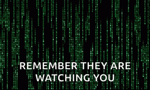 There will be overbearing global surveillance. ('The Matrix')