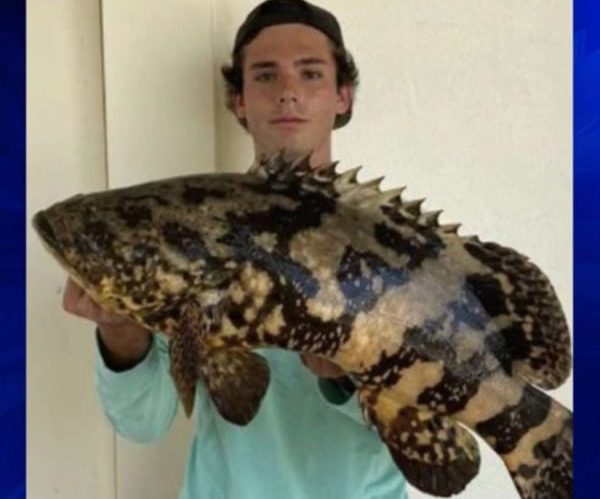Meanwhile in Florida: College Student Jailed For Fish Photo, There Goes His Tinder Profile