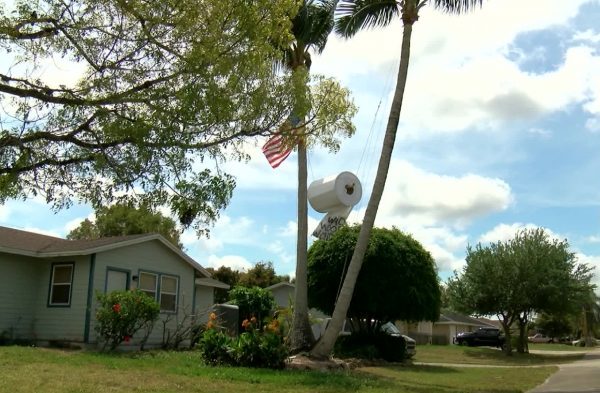 Meanwhile in Florida: Man Hangs Massive Toilet Paper Roll in Tree to Mock America’s New Obsession