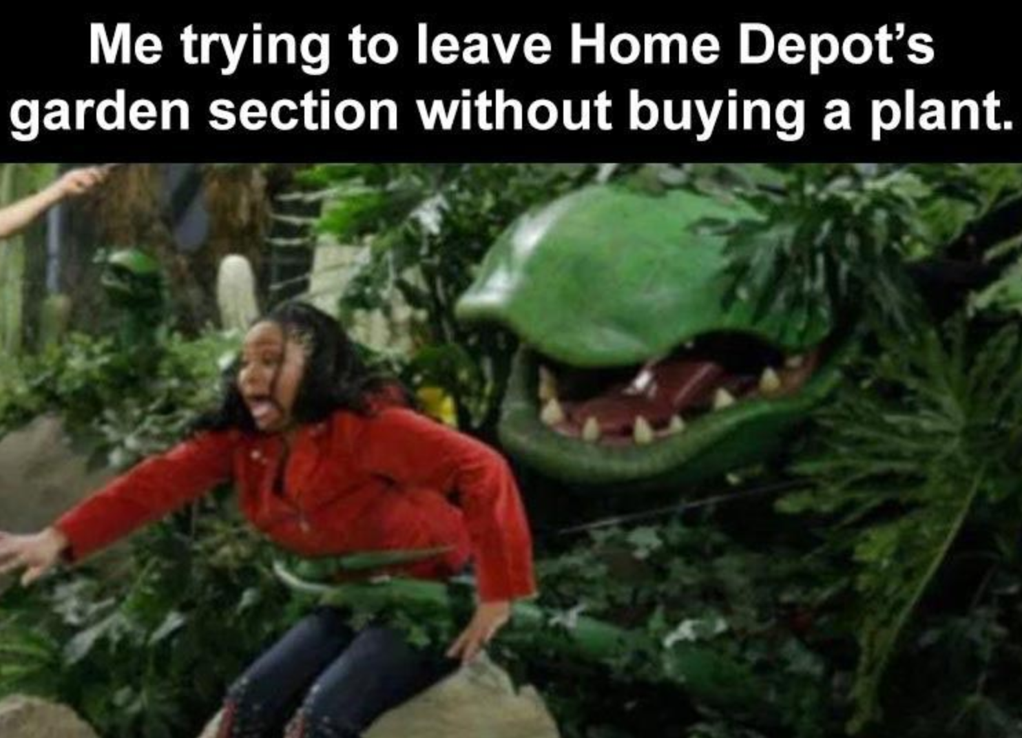 Memes of the Week 01-04-2021 #2