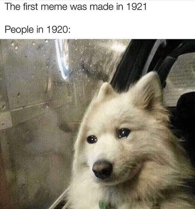 Memes of the Week 01-13-2020 #20