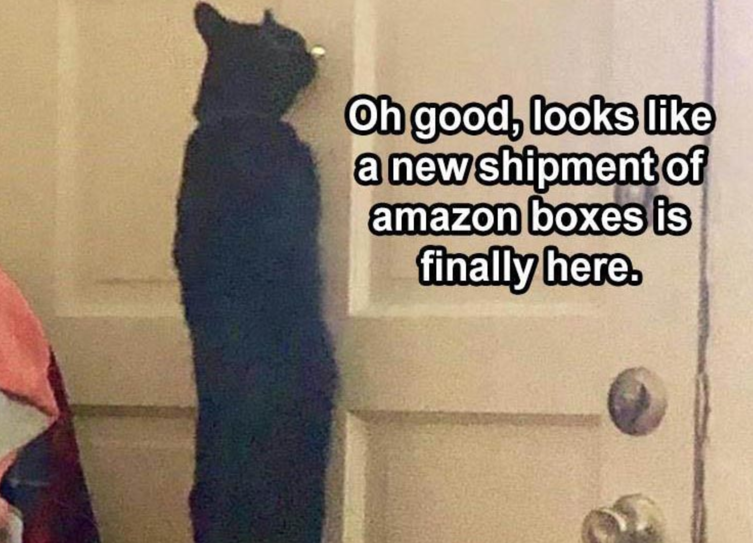 Memes of the Week 01-25-2021 #25