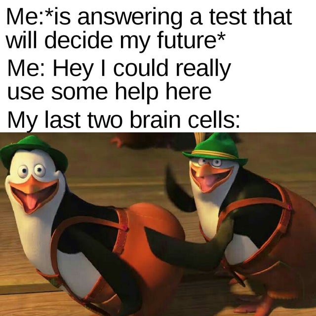 Memes of the Week 02-03-2020 #4