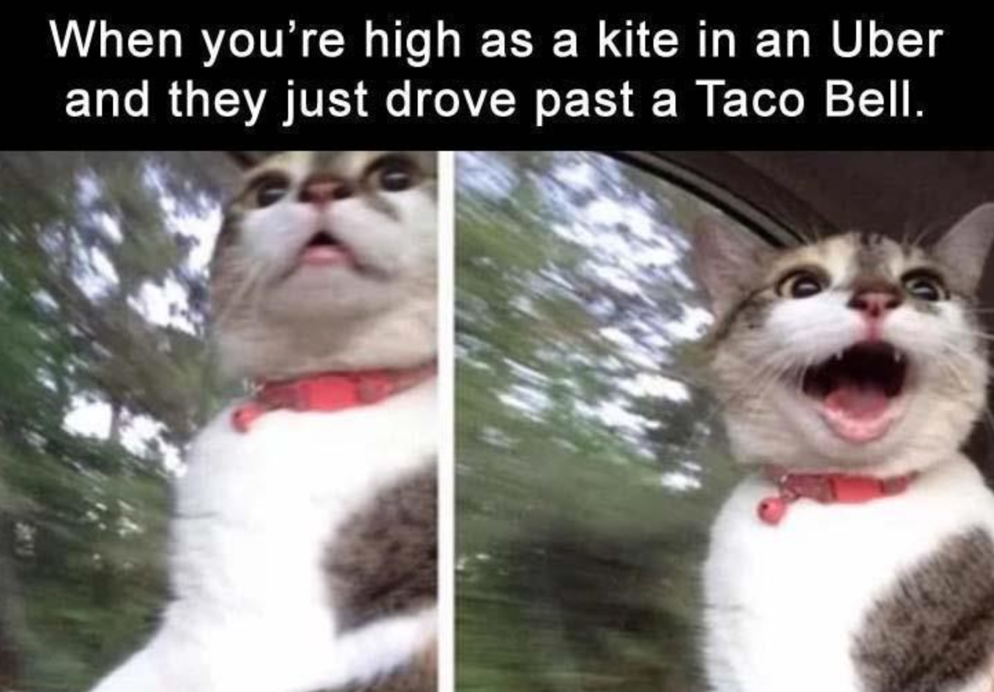 Memes of the Week 02-22-2021 #2