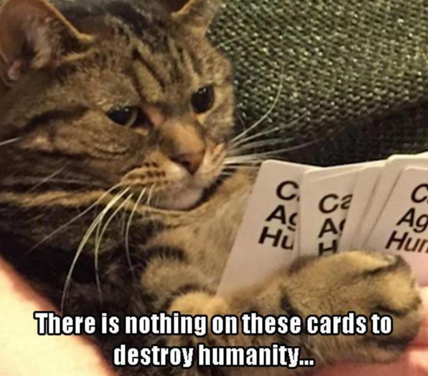 Memes of the Week 04-12-2021 #16