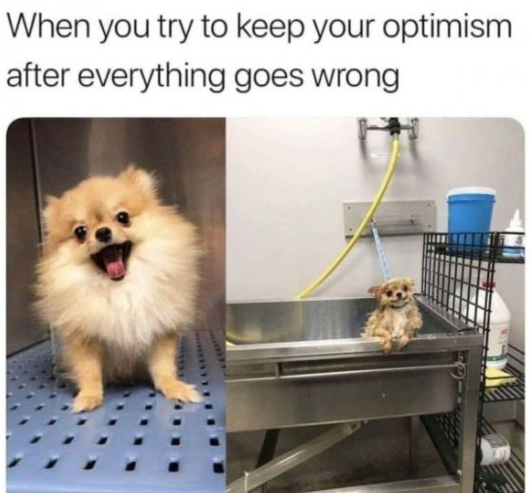 Memes of the Week 05-02-2022 #4