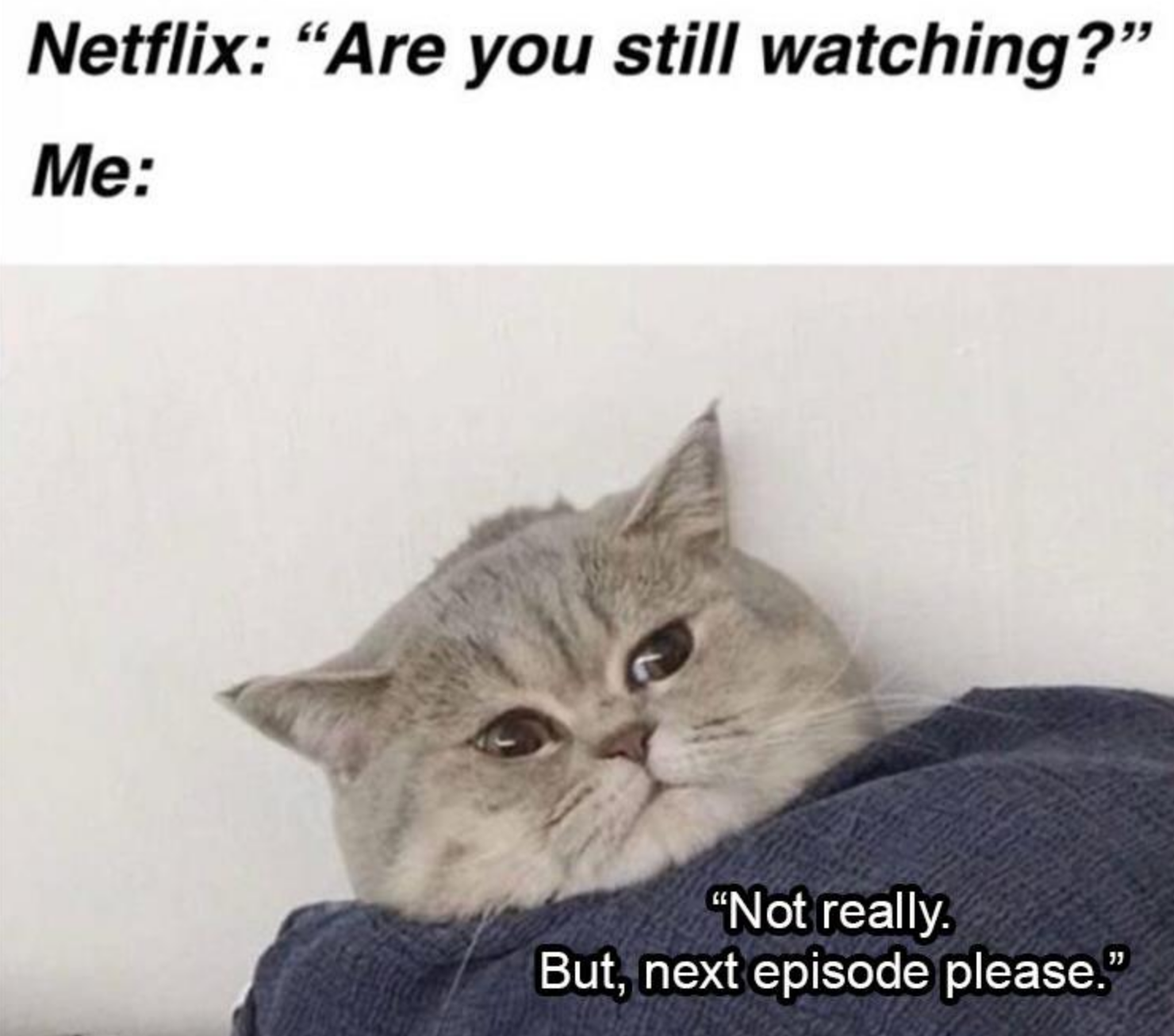 Memes of the Week 06-29-2020 #11