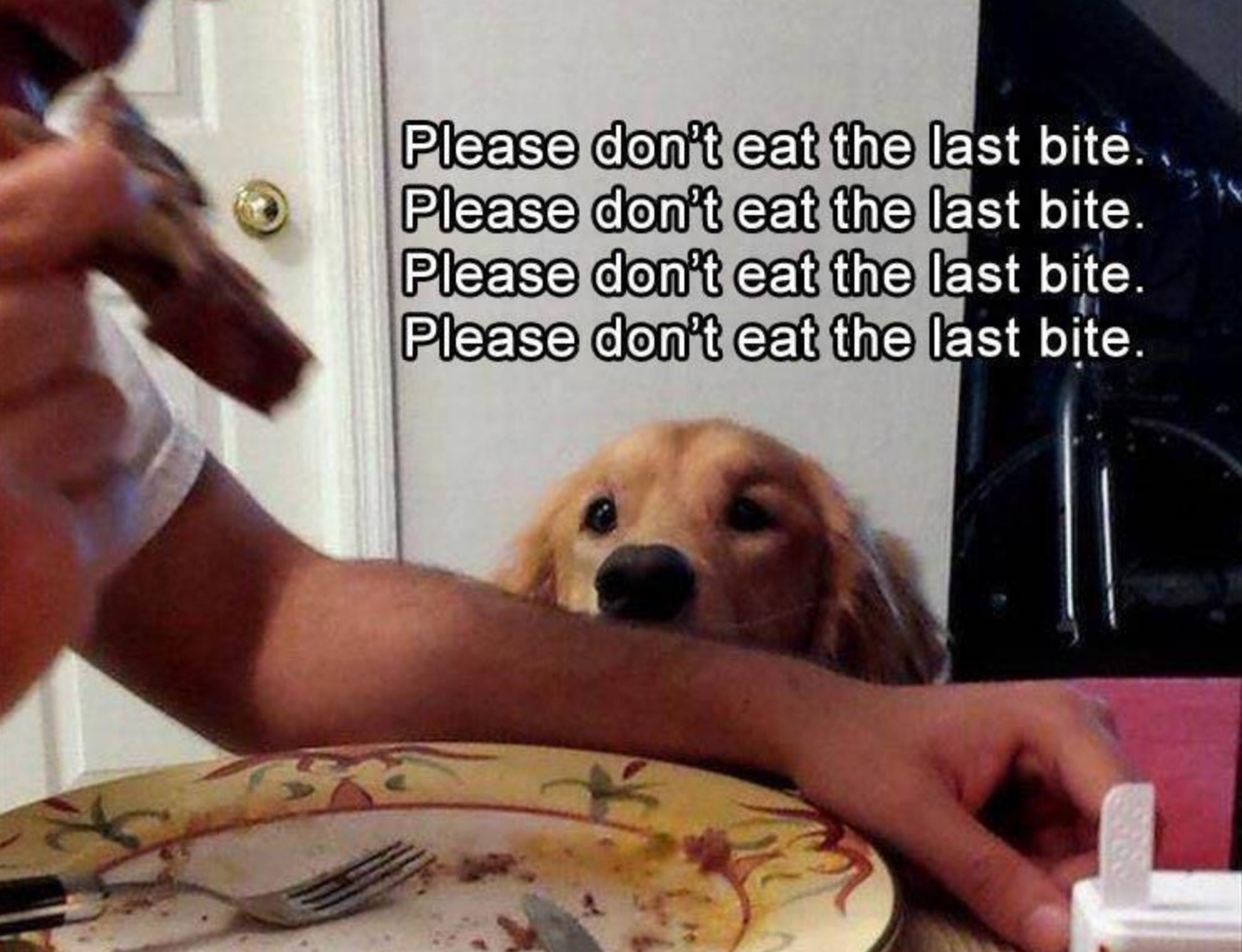 Memes of the Week 06-29-2020 #14