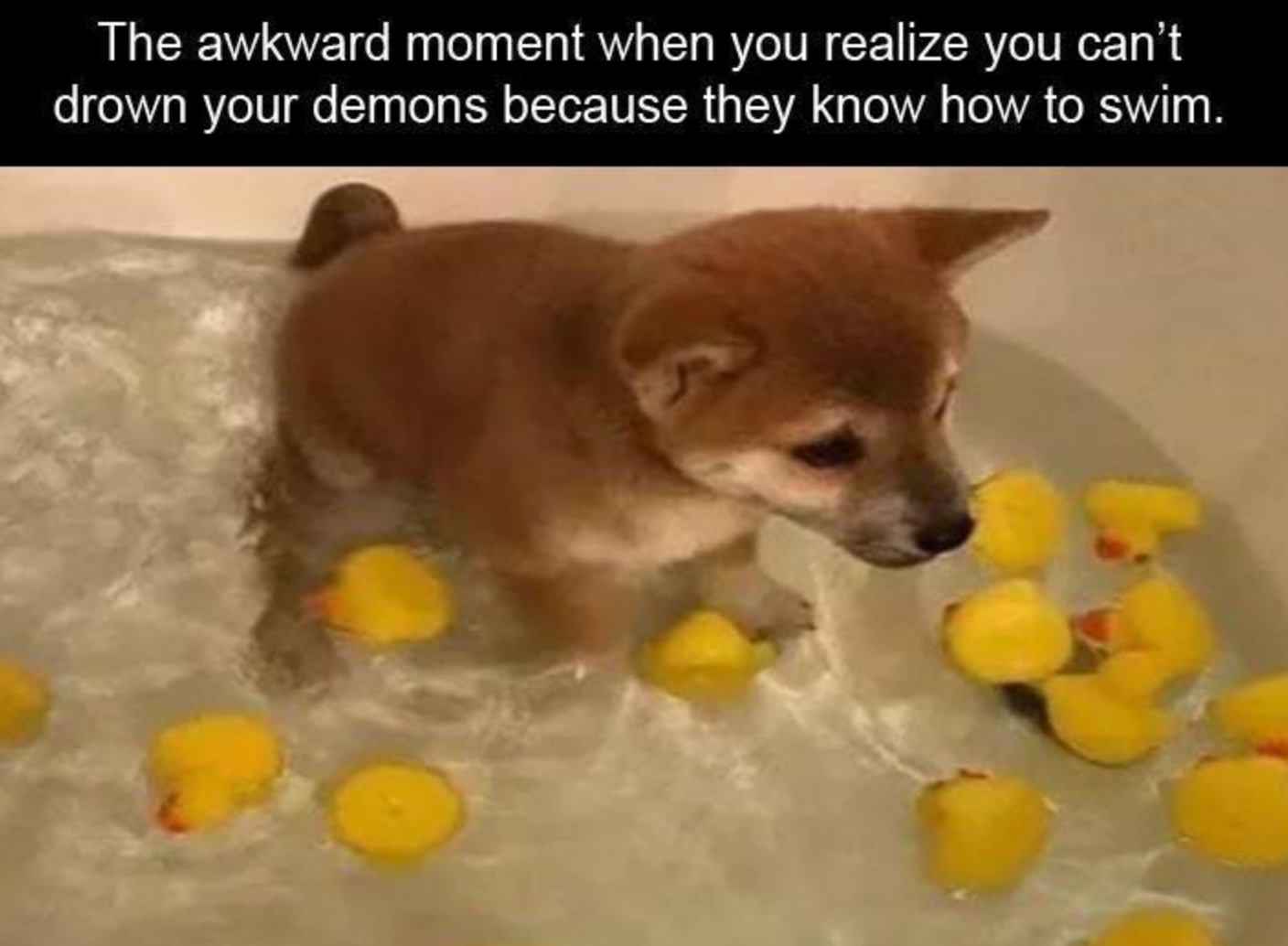 Memes of the Week 07-13-2020 #6