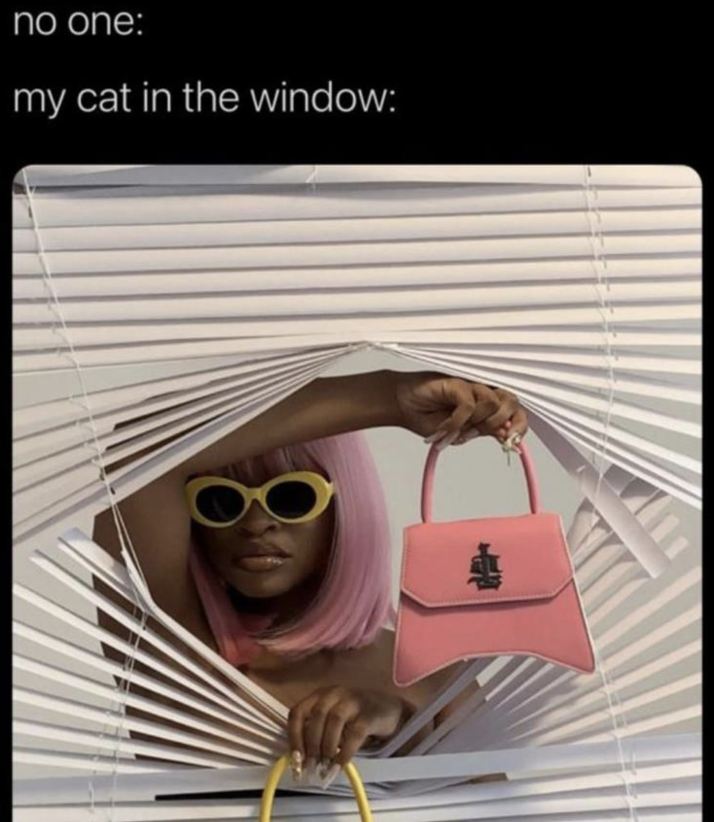 Memes of the Week 08-16-2021 #11