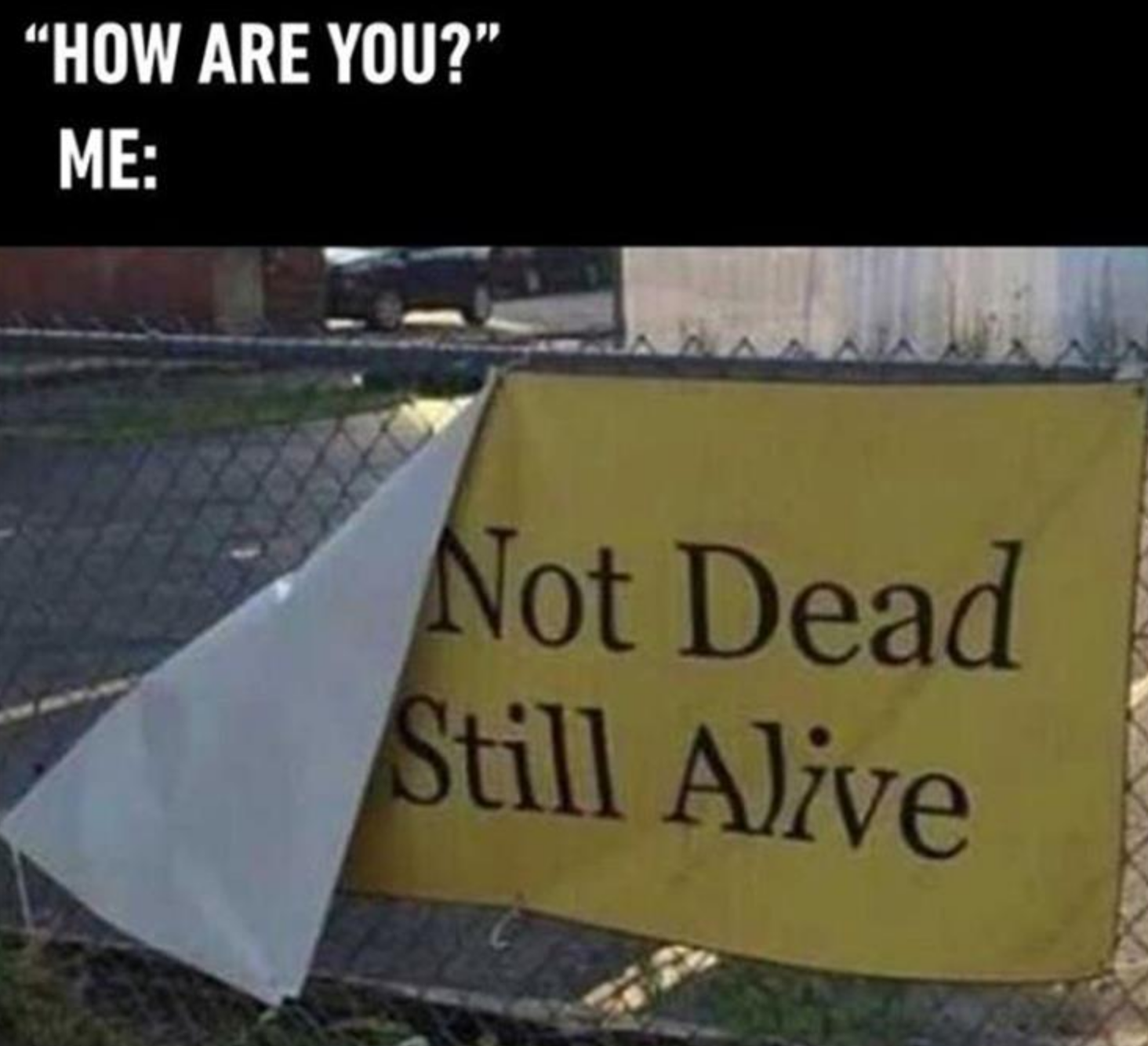 Memes of the Week 09-14-2020 #3