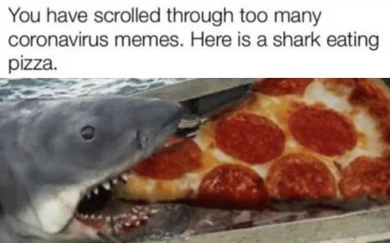 Memes of the Week 09-14-2020 #13