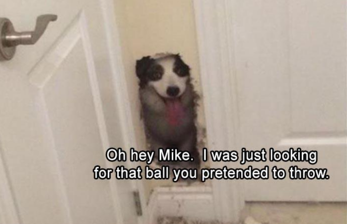 Memes of the Week 10-12-2020 #11