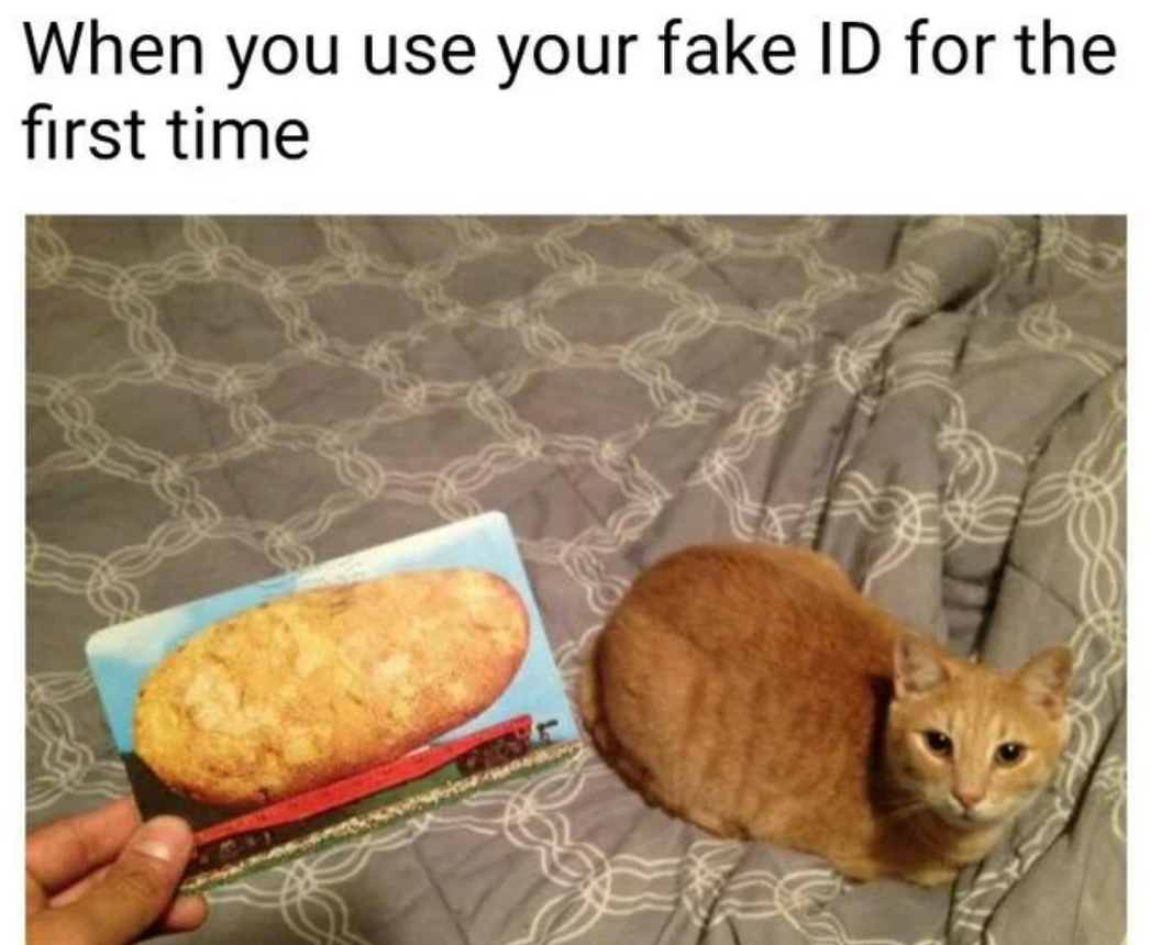 Memes of the Week 10-14-2019 #8