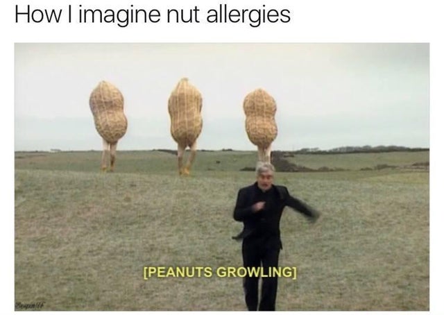 Memes of the Week 10-21-2019 #24