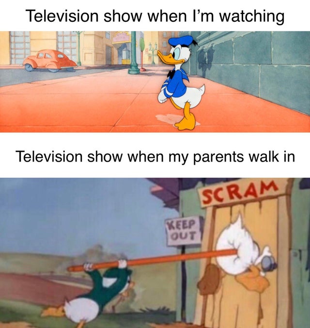 Memes of the Week 11-18-2019 #6