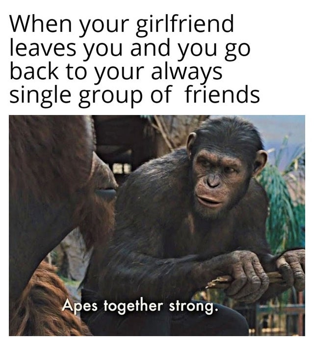 Memes of the Week 11-18-2019 #7