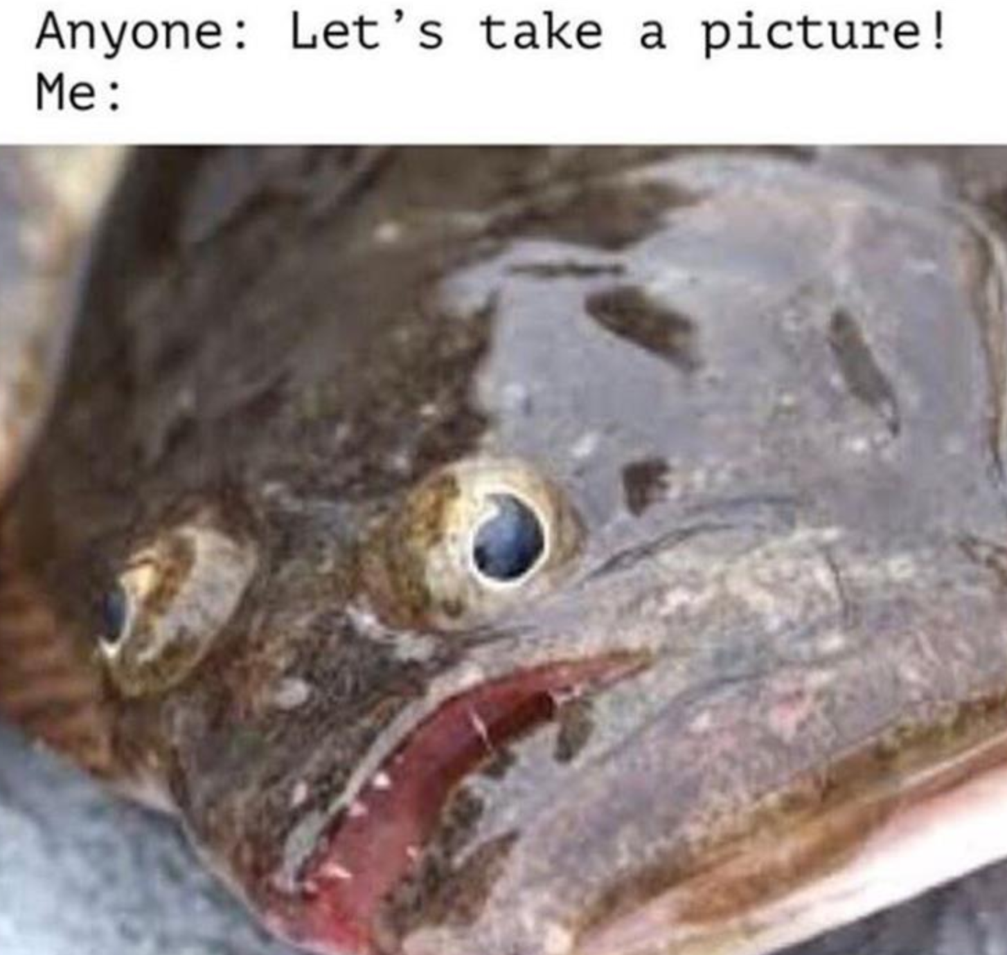 Memes of the Week 11-30-2020 #7