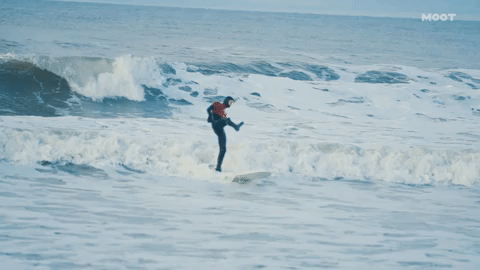 Quit Job And Learn To Surf (And Possibly Injure Self)