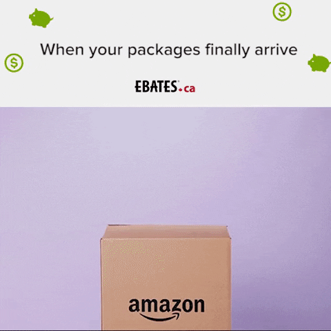 Online Shopping Is Lit