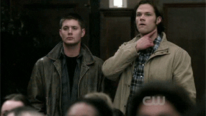1. Sam and Dean Winchester