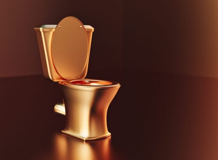 Sh!ttin’ Golden Bricks! $6 Million Gold Toilet Stolen From Winston Churchill’s Home