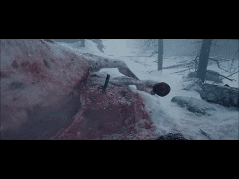 5. Leonardo DiCaprio