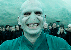 Voldemort - 'Harry Potter' Franchise