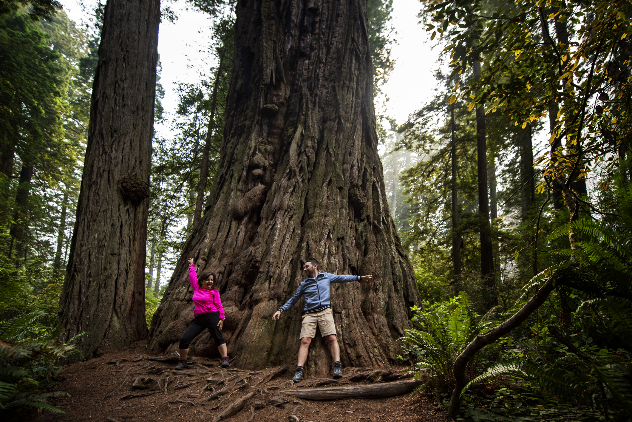 8. Redwood National Park (California)