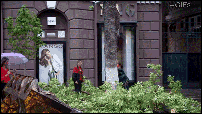 perfectly timed gifs #1