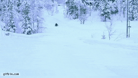 perfectly timed gifs #7