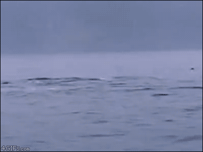perfectly timed gifs #18