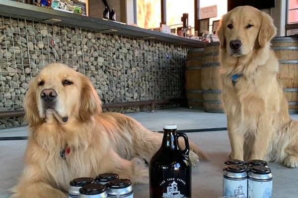 19. Two Very Good Dogs Deliver Beer Curbside to Save Their Mom’s Company