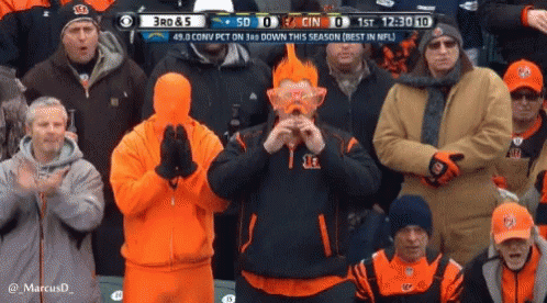 2) Cincinnati Bengals 