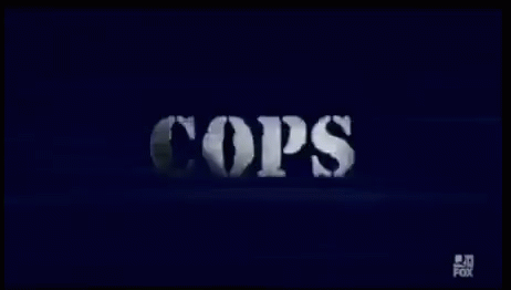 18. 'Cops' (1989 - Present)