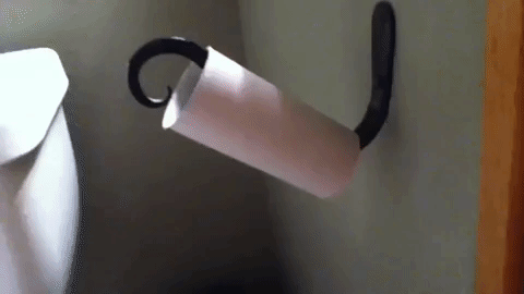 Wrong Way Toilet Paper Roll