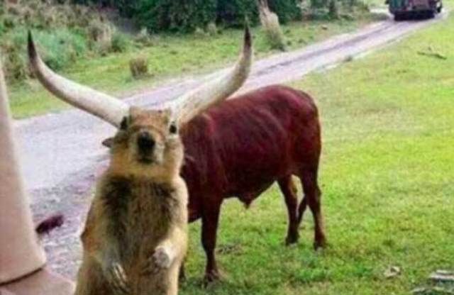 Selfies Gone Wrong and Perfect Photobombs #7