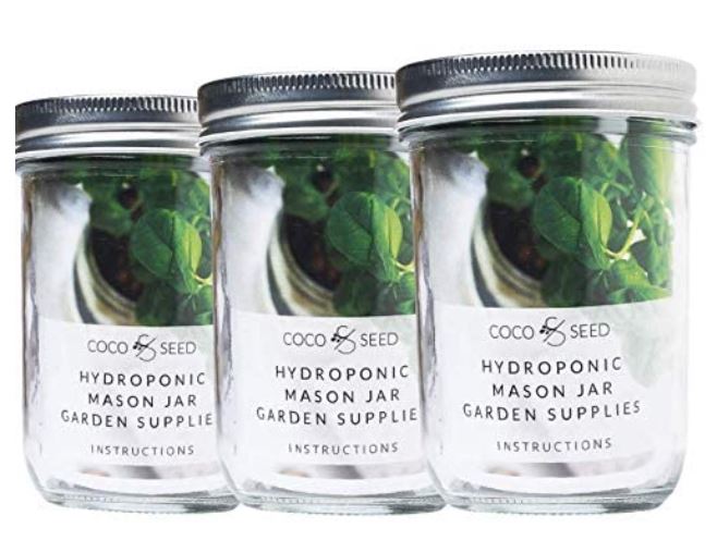 Coco and Seed Hydroponic Mason Jar Garden Superfoods Set