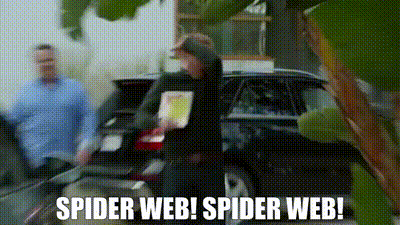 spider web reactions #15