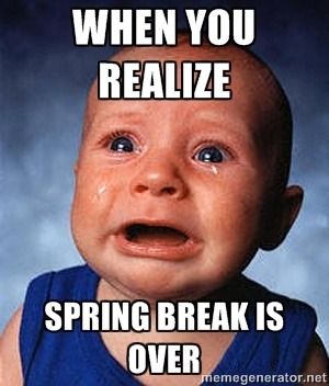 spring break memes 2022 #12