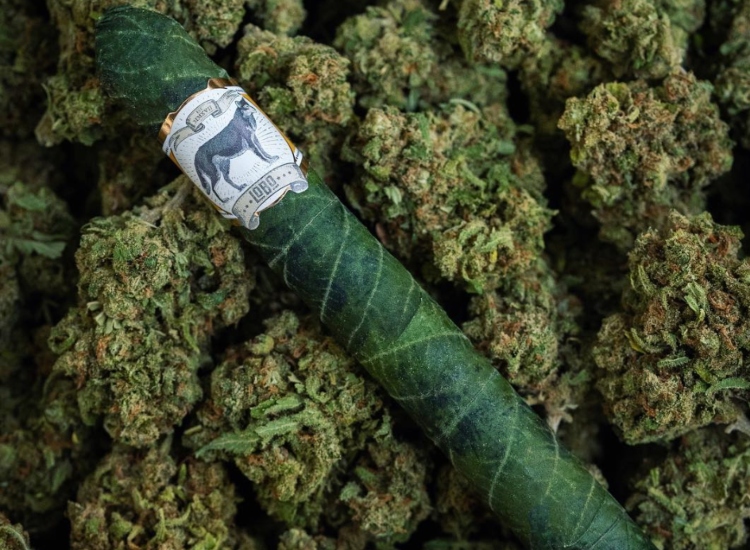 Lobo Cannabis Cigar