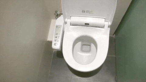 Cut Down on Toilet Paper by Installing a Bidet