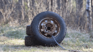 An old tire you found at the junkyard.