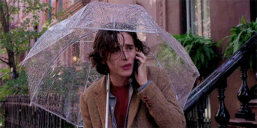 10. 'A Rainy Day in New York'