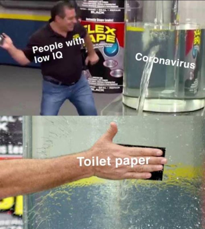 Toilet Paper Memes #10