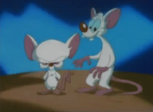 12. 'Pinky and the Brain'